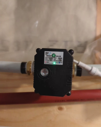 AI1 - All In One Wireless Leak Detection System